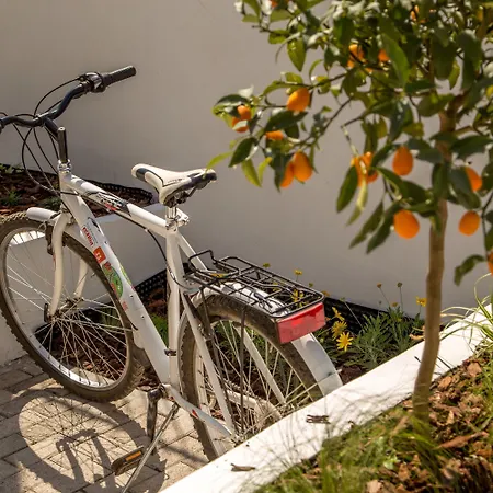 Urban Garden ホテル